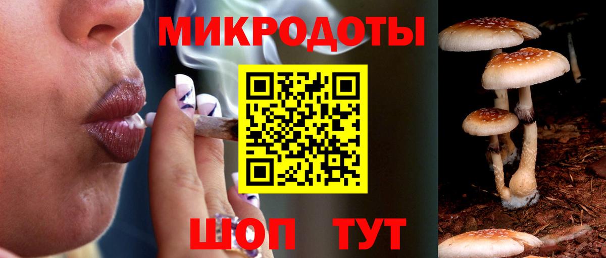 Псилоцибиновые грибы GOLDEN TEACHER  Вход с VPN  Галлюциногенные грибы ЛСД  Черняховск 