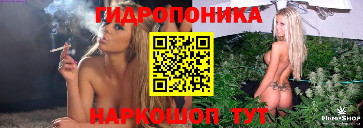 Марихуана конопля  Вход с VPN  Марихуана сатива  Черняховск  Бошки марихуана AK-47  Конопля THC 21% 